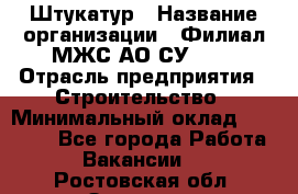 Штукатур › Название организации ­ Филиал МЖС АО СУ-155 › Отрасль предприятия ­ Строительство › Минимальный оклад ­ 35 000 - Все города Работа » Вакансии   . Ростовская обл.,Зверево г.